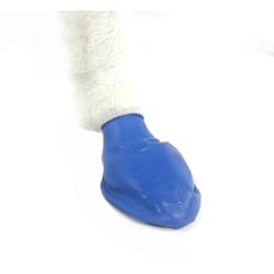PawZ Blue Dog Boots Medium