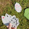 image-3