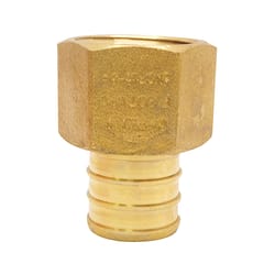 Apollo 3/4 in. PEX Barb in to X 1/2 in. D FPT Brass Adapter