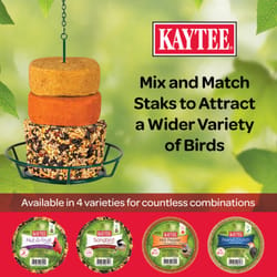 Kaytee All Wild Birds Fruits and Nuts Wild Bird Seed 8.46 oz