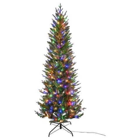 Fraser Fir - Kentucky Christmas Tree Association, USA