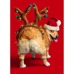 Avanti Christmas Dog Reindeer Greeting Card Paper 4 pc
