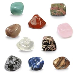 Geoworld Dr. Steve Hunters All Over The World Precious Stones Assorted 10 pc