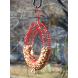 Songbird Essentials Songbird Essentials Woodpecker Metal Whole Peanut Wreath Ring Squirrel Feeder