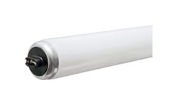 GE 95 W T12 96 in. L Fluorescent Bulb Cool White Linear 4100 K 1 pk
