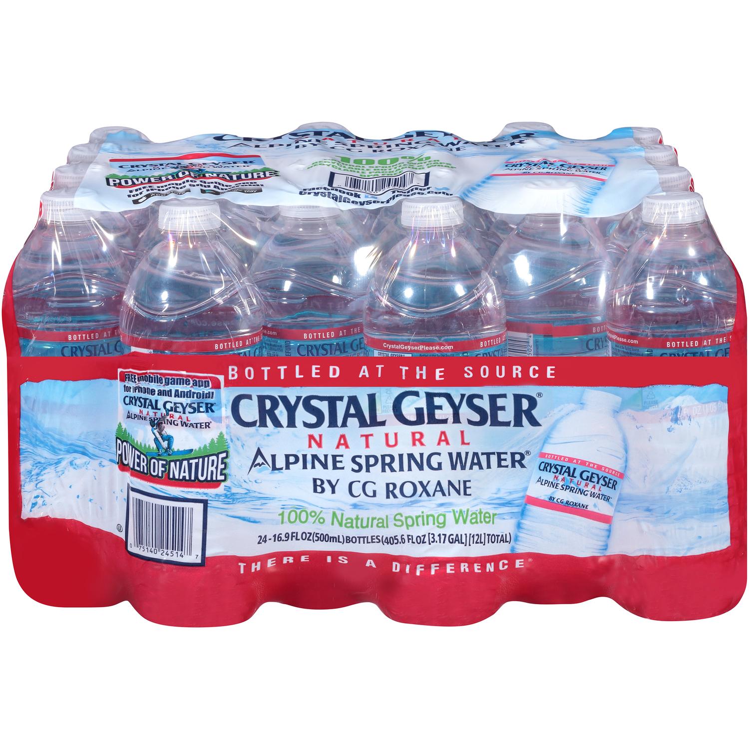 Absopure Bottled Water 16.9 oz 24 pk - Ace Hardware