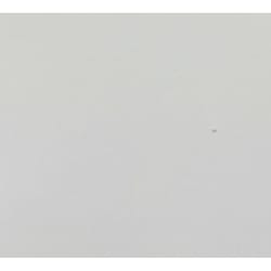 Evolve Terra Satin Arctic Frost Paint and Primer Interior 1 gal