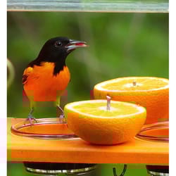 Birds Choice Oriole 2 cups Plastic Bird Feeder