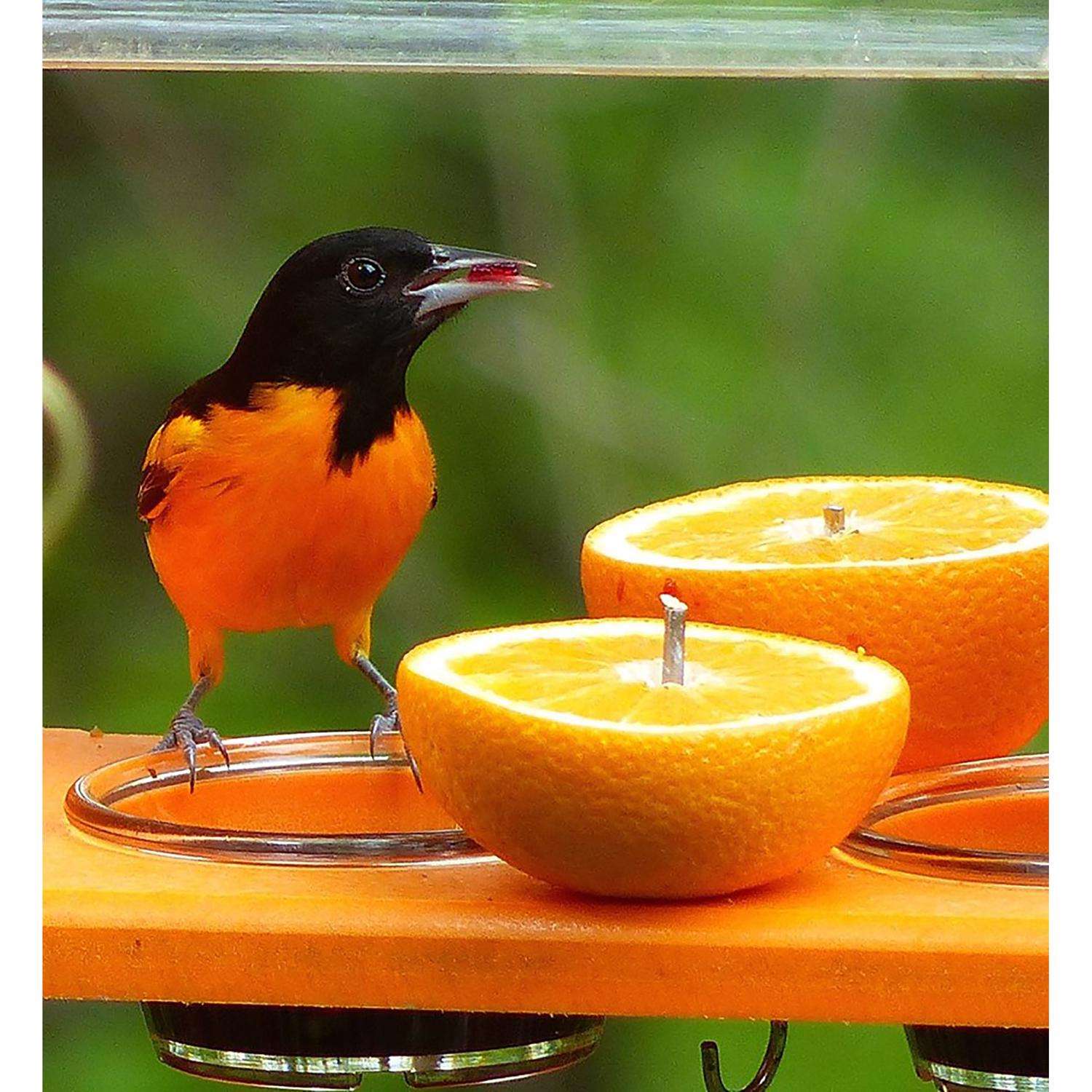 Benefits and dangers from online made friends – The Oriole