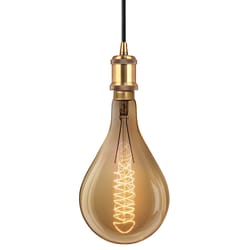 Feit 60 W PS52 Decorative Incandescent Bulb E26 (Medium) Amber 1 pk
