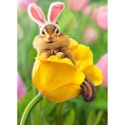 Avanti Seasonal Chipmunk Bunny In Tulip Easter Card Paper 2 pc
