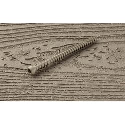 Starborn Cap-Tor No. 10 X 2-3/4 in. L Star Undercut Head Composite Deck Screws 350 pk