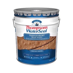 Thompson's WaterSeal Wood Sealer Transparent Chestnut Brown Waterproofing Wood Stain and Sealer 5 ga
