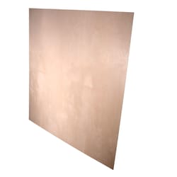 Alexandria Moulding 4 in. W X 4 in. L X 0.5 in. Plywood