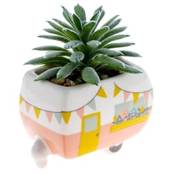 Karma 2 in. H X 2 in. L Multicolored Ceramic Succulent Pot