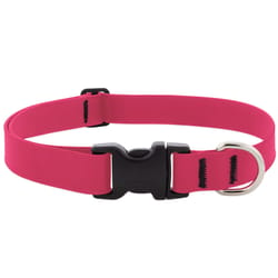 LupinePet Splash Neon Pink BioThane Dog Adjustable Collar Large