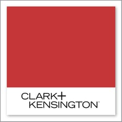 Clark+Kensington Bold and Beautiful 06D-5