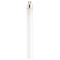 Satco 13 W T5 0.63 in. D X 20.91 in. L Fluorescent Bulb Cool White Linear 4200 K 1 pk