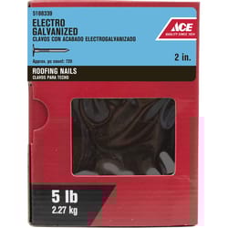 Ace 2 in. Roofing Electro-Galvanized Steel Nail Large Head 5 lb