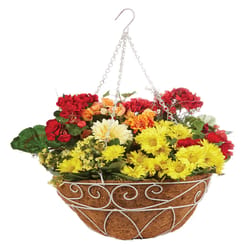 Panacea Steel Hanging Basket White