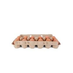 Kikkerland Egg Shaped Bouncy Ball 12 pc