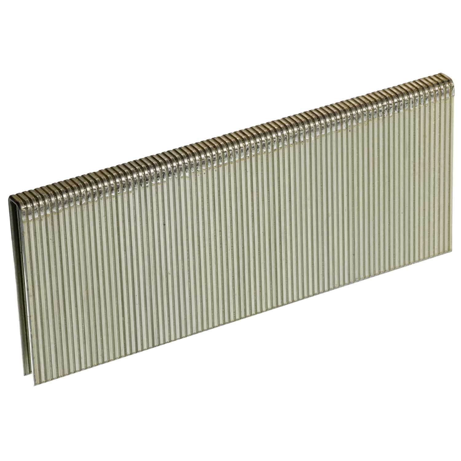 Senco 11/2 in. L x 1/4 in. W Galvanized Steel Narrow Crown Finish