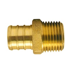 Apollo 3/4 in. PEX Barb in to X 1/2 in. D MPT Brass Adapter