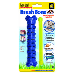 Bulbhead Brush Bone Dog Self Brushing Toothbrush 1 pk