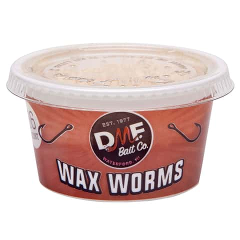 DMF Bait Co Wax Worms Fishing Bait