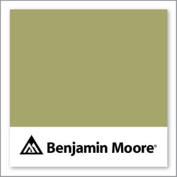 Benjamin Moore Brookside Moss 2145-30