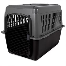 Aspen Pet Pet Porter Extra Large Plastic Pet Kennel Gray 30 in. H X 27 in. W X 40 in. D