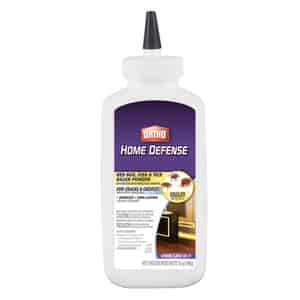 Ortho  Home Defense  Insect Killer  12 oz. 