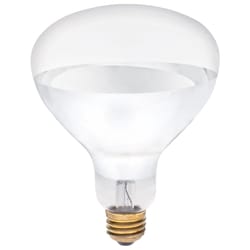 Westinghouse 250 W R40 Reflector Incandescent Bulb E26 (Medium) White 2 pk