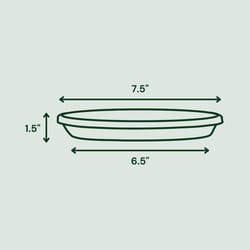 Bloem Terra 1.5 in. H X 7.5 in. W X 6.5 in. D Plastic Traditional Plant Saucer Green