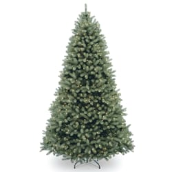National Tree Company 6 ft. Full Incandescent 600 ct Downswept Douglas Christmas Tree