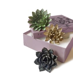 Chive Ceramic Flowers 2.9 in. H X 9.9 in. L Glazed Assorted Ceramic Dusk Box Set