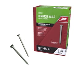 Ace 4D 1-1/2 in. Common Hot-Dipped Galvanized Steel Nail Flat Head 1 lb