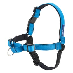 PetSafe Deluxe Easy Walk Blue Nylon Dog Harness Medium