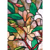 image-5