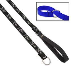 LupinePet Original Designs Multicolor Bling Bonz Nylon Dog Training Leash