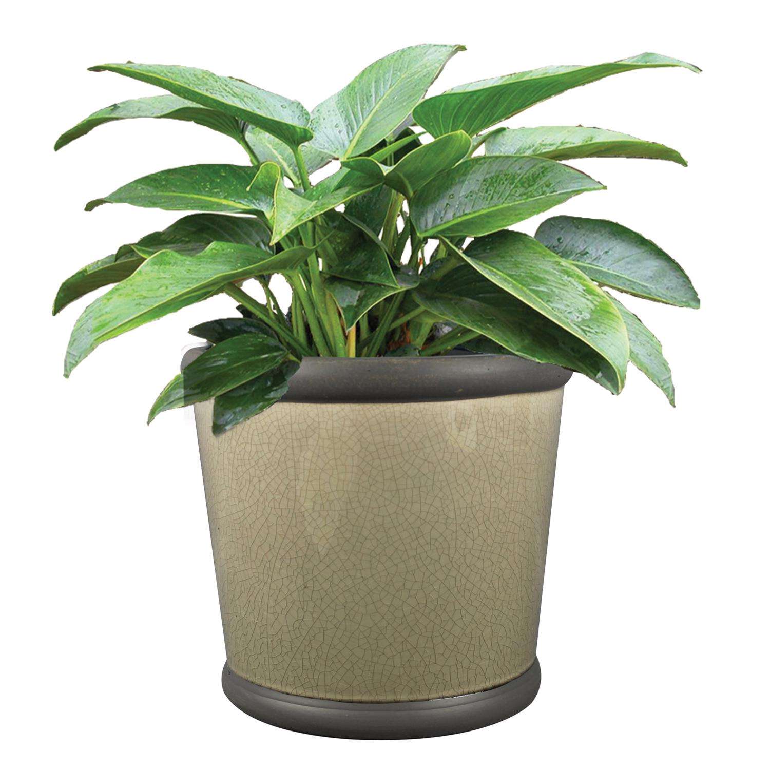 Trendspot Belleville 9 in. D Ceramic Planter Gray Trendspot Belleville 9 in. D Ceramic Planter Gray