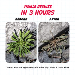 Earth's Ally Weed & Grass Killer Weed and Grass Killer RTU Liquid 24 oz