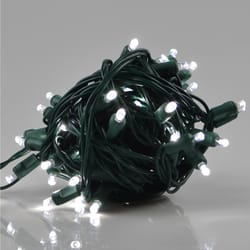 Celebrations LED Grand Mini Pure White 50 ct String Christmas Lights 25 ft.