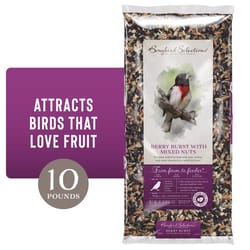 Songbird Selections Berry Burst Wild Bird Nuts Bird Seed 10 lb