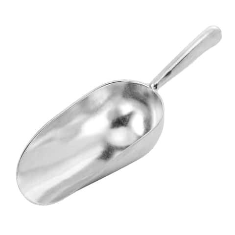 Rent the Plastic Ice Scoop, 24 oz.