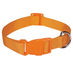 Boss Pet Casual Canine Orange Nylon Dog Collar Small