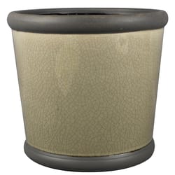 Trendspot Belleville 9 in. D Ceramic Planter Gray Trendspot Belleville 9 in. D Ceramic Planter Gray