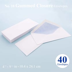 Bazic Products 4-1/8 in. W X 9-1/2 in. L No. 10 White Security Envelope 40 pk