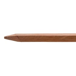 Bond Manufacturing 5 ft. H X 0.75 in. W X 0.75 in. D Brown Wood Garden Stakes