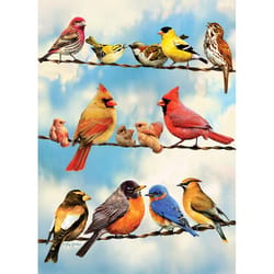 Cobble Hill Birds On A Wire Jigsaw Puzzle 500 pc